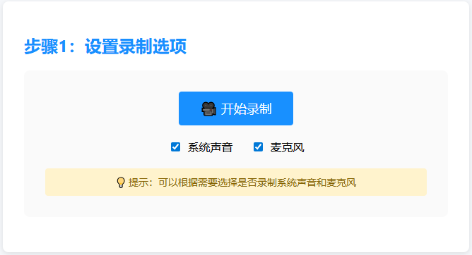 步骤1：设置录制选项